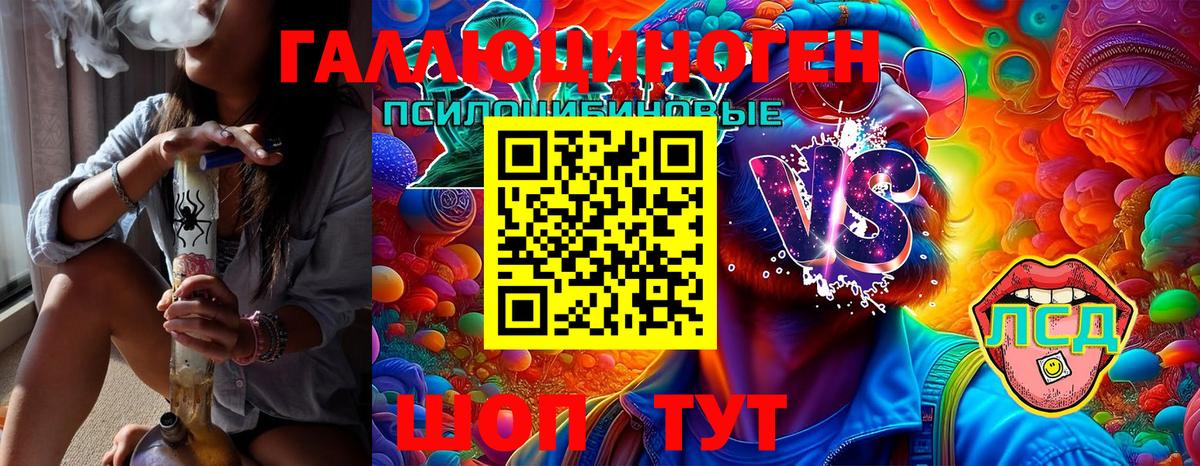Галлюциногенные грибы GOLDEN TEACHER  где купить   Кольчугино  Вход с VPN 